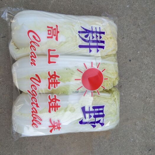 宜城市 精品娃娃菜