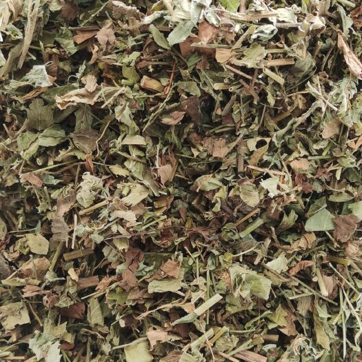 亳州 仙鹤草