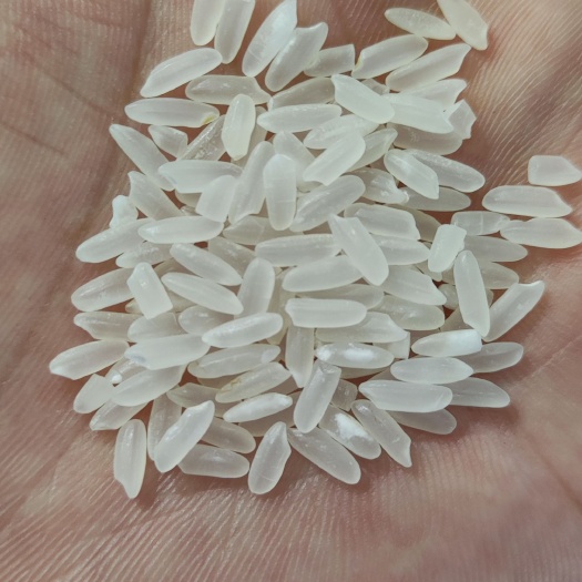 科左后旗稻花香2号粳稻谷（五优稻4号）