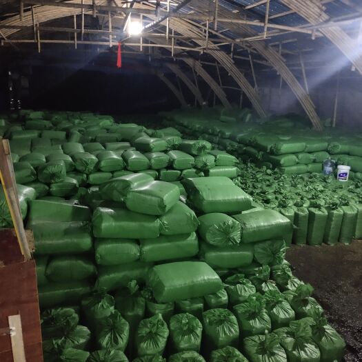 武宣县面包糠 新鲜甘蔗尾青贮牛料