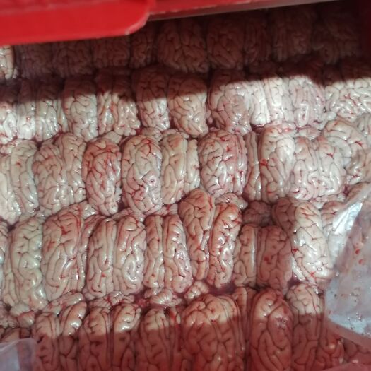 内乡县猪脑 精品