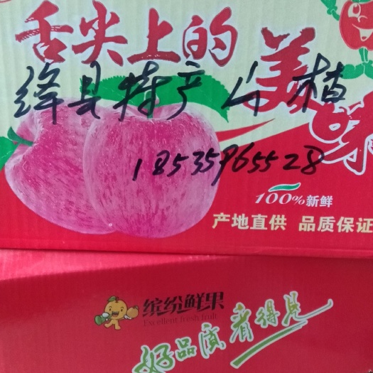绛县大金星山楂 大金星