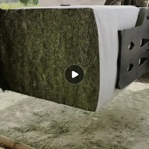敦煌市精选苜蓿干草加密包，粗蛋白百分之十八左右