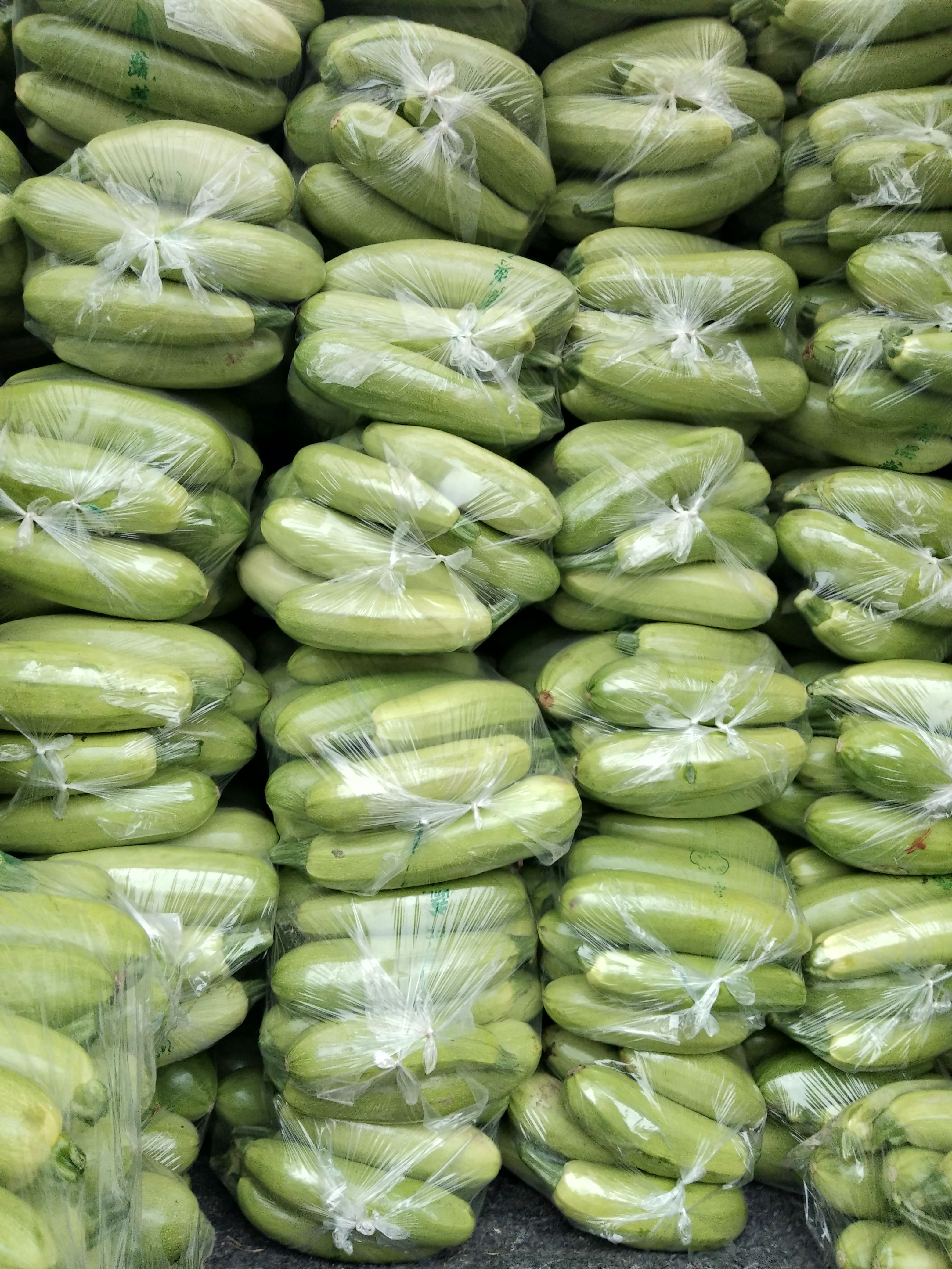 绿皮西葫芦 本地长年供应各种精品蔬菜