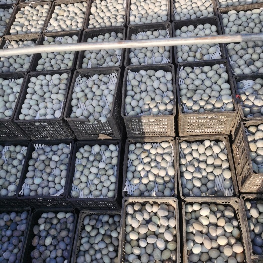 南昌县松花皮蛋 松花蛋地摊江湖专卖，老式包泥光蛋松花蛋