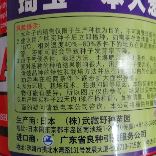 济南日本大葱种子 铁杆大葱种子，葱白结实，颜色浓绿