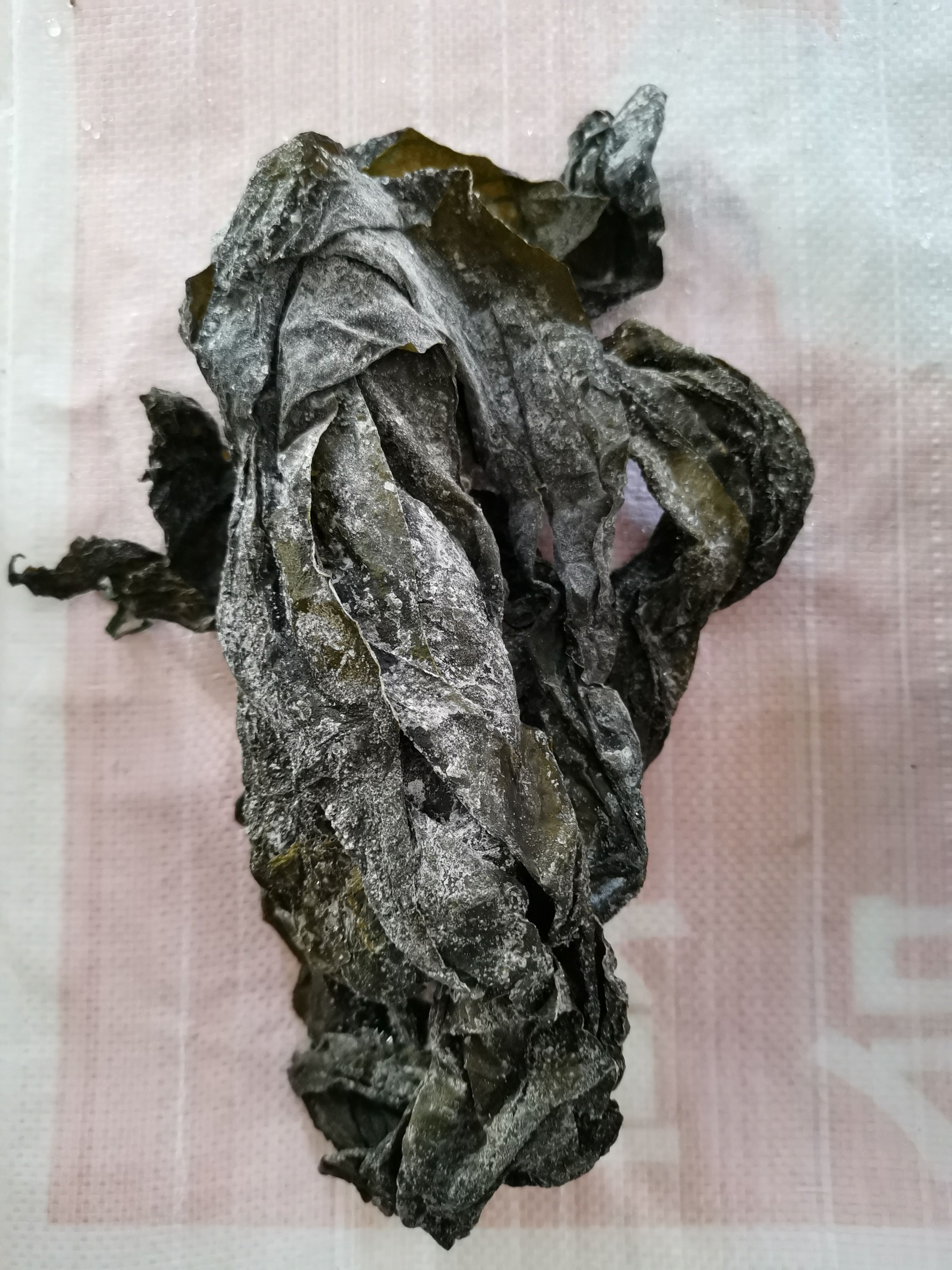 散海带  深海小海带  深海淡干小海带：新品纯绿菜.叶片嫩绿