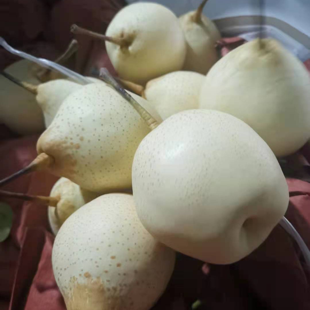  纸袋水晶鸭梨