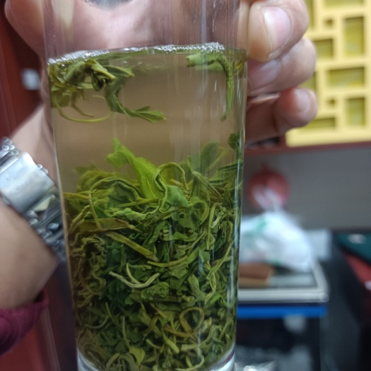 邹城市云雾茶  口粮款绿茶 高山绿茶