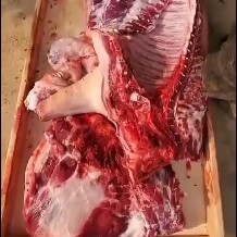 河北黑猪 冷鲜肉 生肉 猪肉