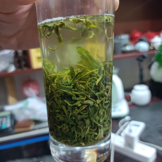 邹城市绿茶 高山绿茶