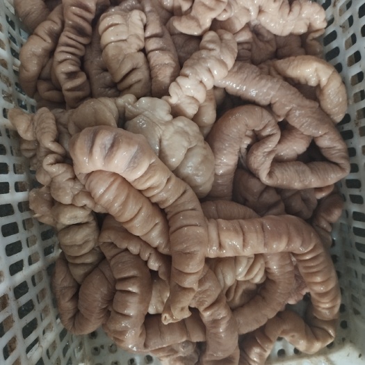 猪肠 水煮十成熟大肠