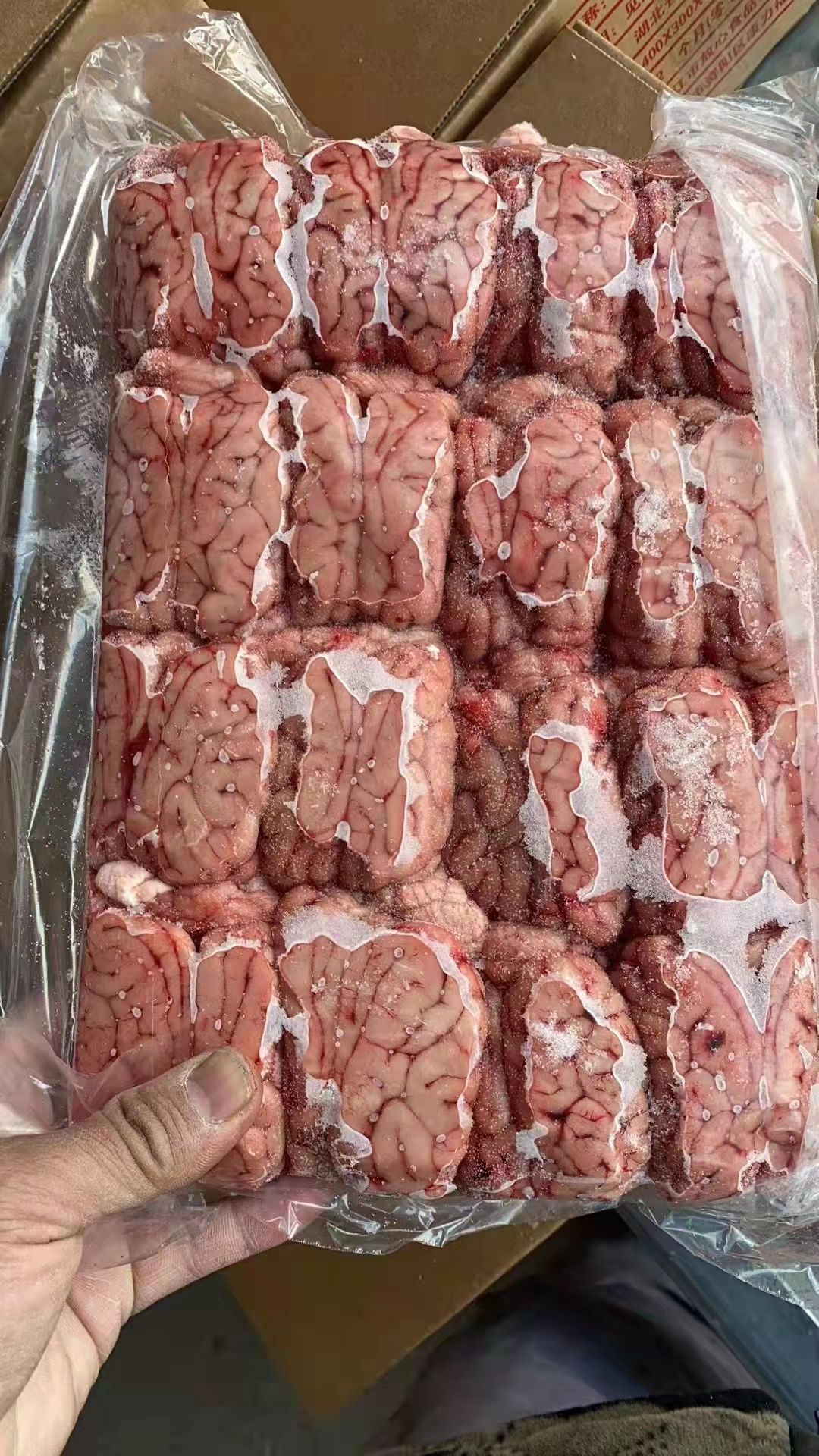 猪脑 96个脑花