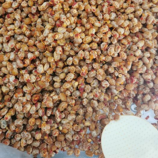 远安县干豆豉 湖北特产麻辣臭豆豉农家自制风味辣椒豆豉散装豆豉