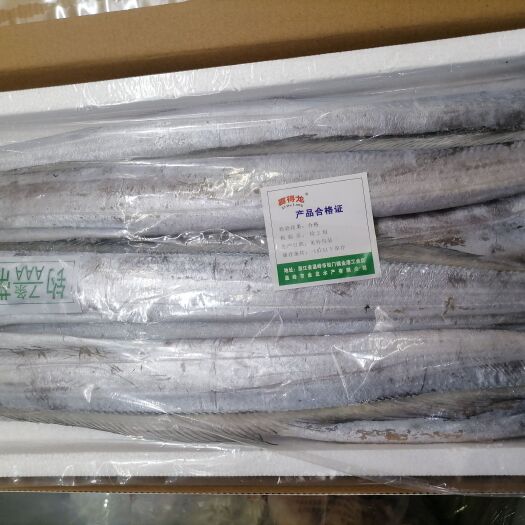 郑州优质一级带鱼