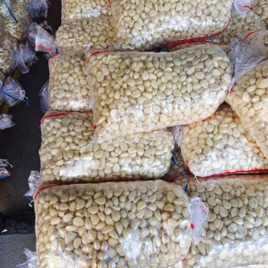 兰陵县手工四六瓣，机器杂交蒜米