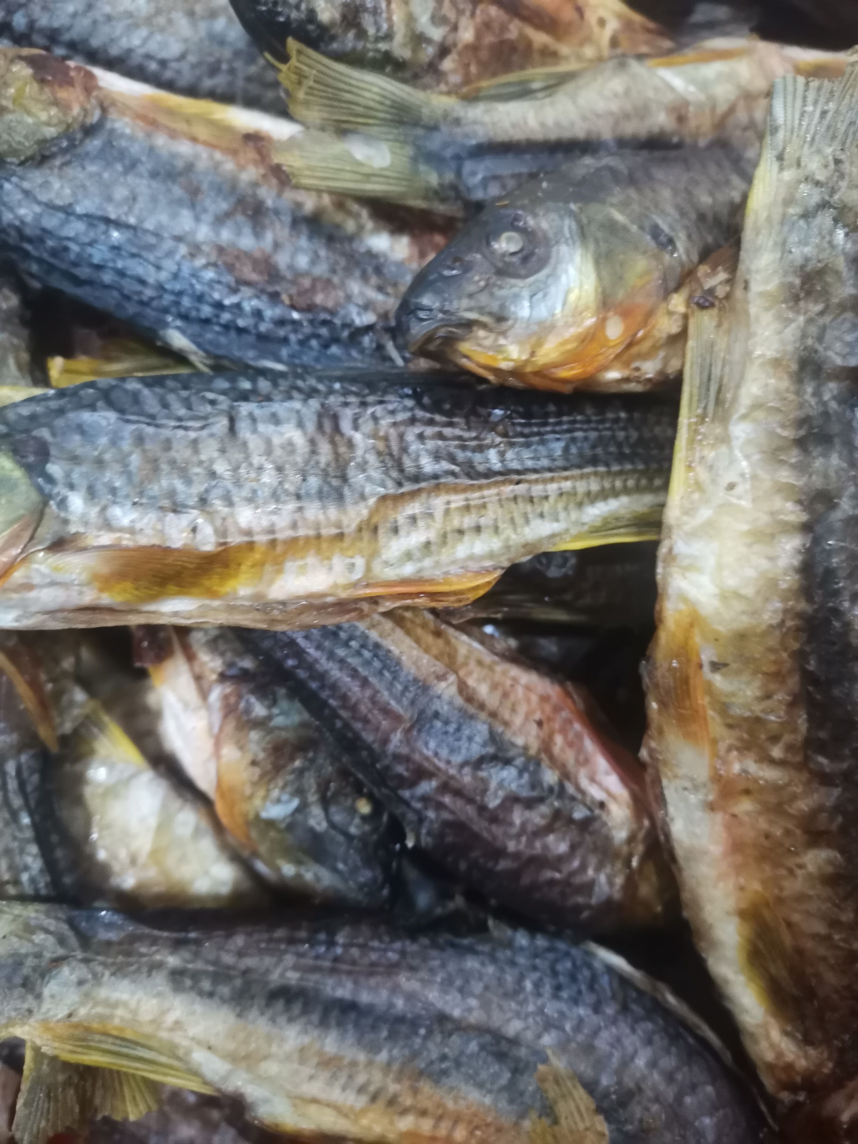 山坑鱼仔 火焙溪水鱼干 石斑鱼 小马口 棍子鱼九成干