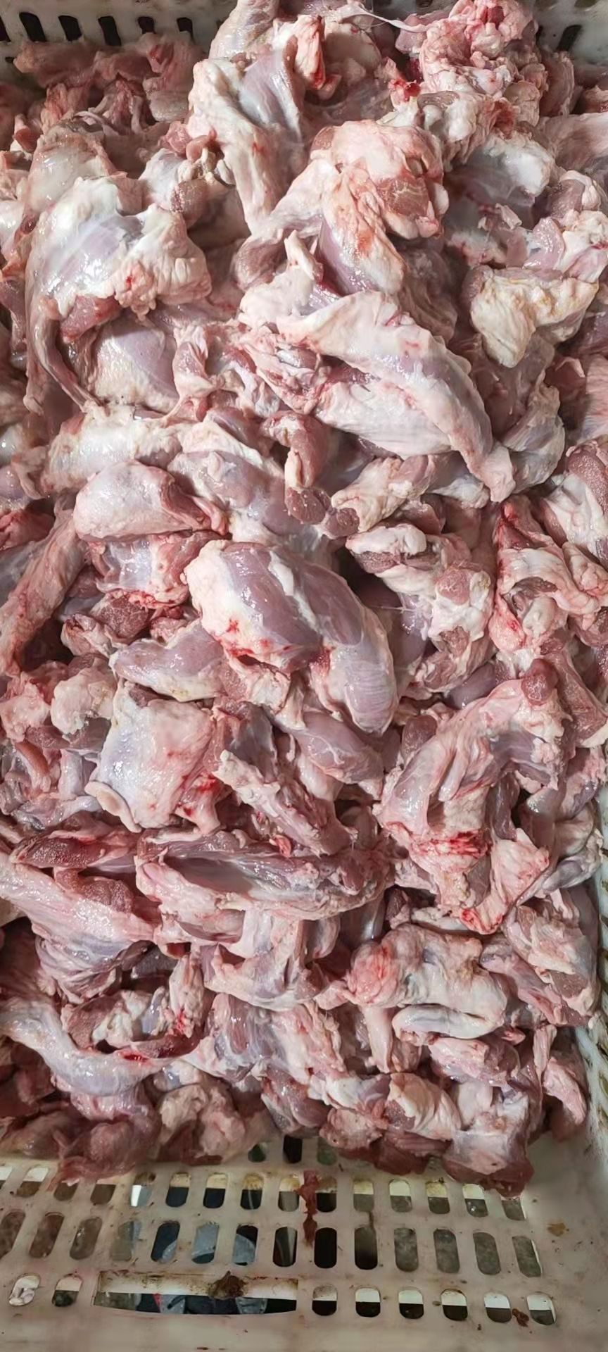 【羊脖肉】当地草原羊大块脖肉十斤块，做馅肉肠肚包肉穿串均可！