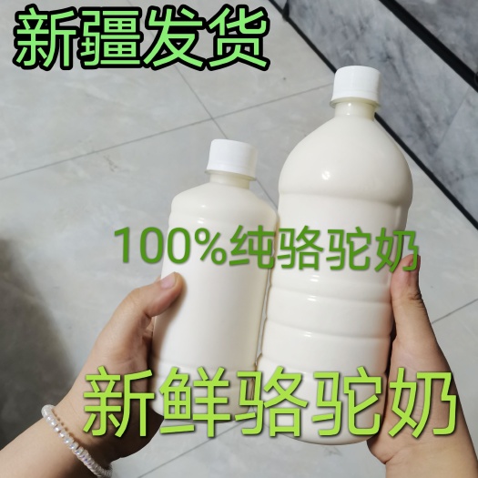 昌吉市骆驼奶