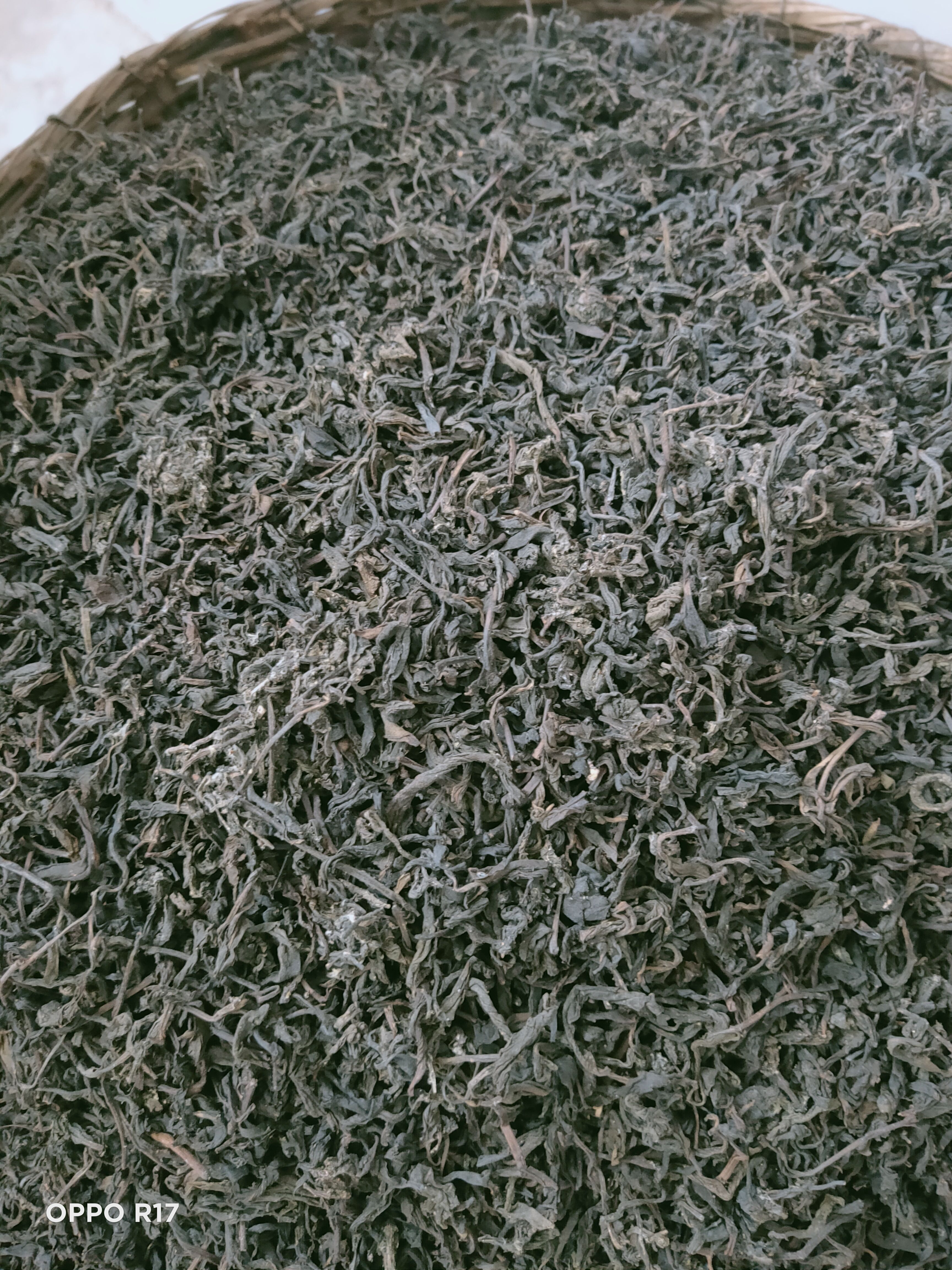 天然无污染高山蒲坑茶 散装 一级