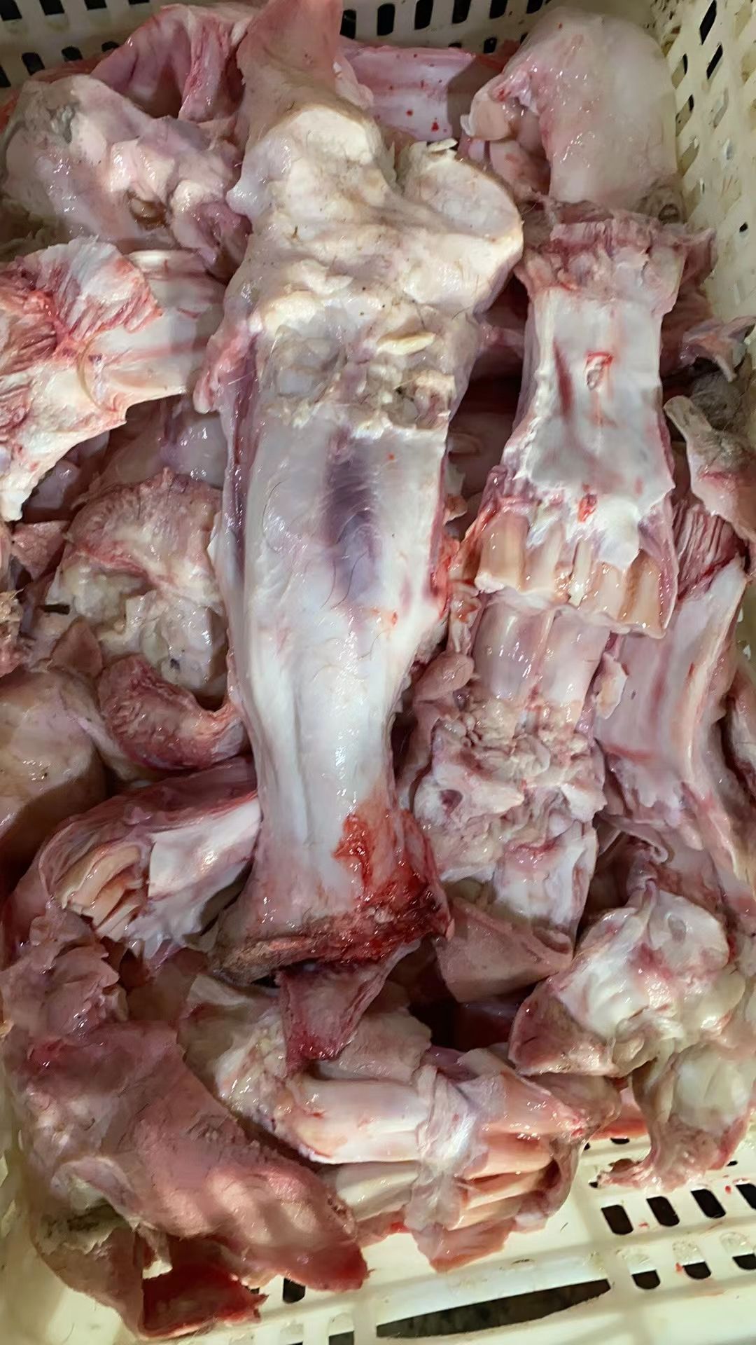 牛蹄筋 牛蹄主筋