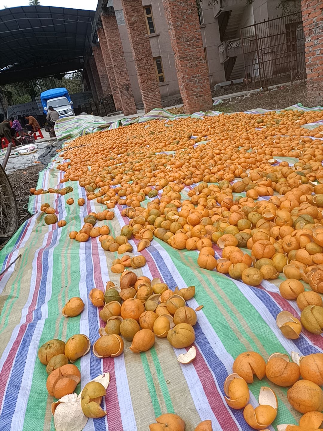  陈皮