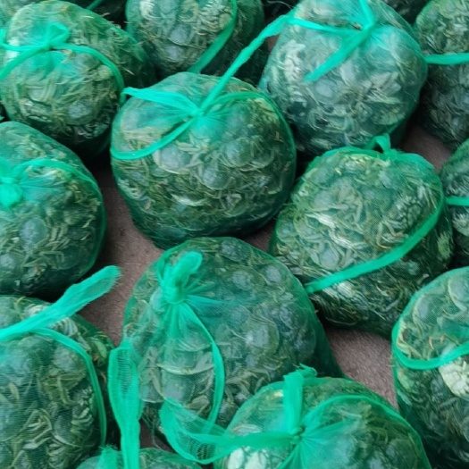 皖苏大闸蟹  蟹苗 ，淡水优质蟹苗，适应能力强，