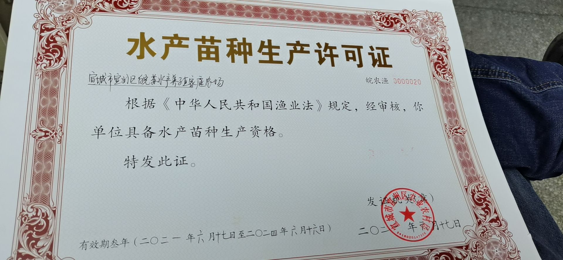 皖苏大闸蟹  蟹苗 ，淡水优质蟹苗，适应能力强，