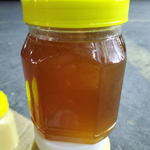 东莞市土蜂蜜 蜂蜜