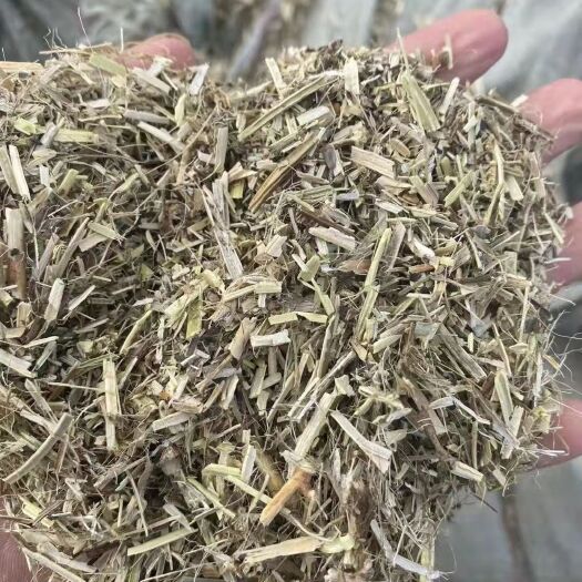 正定县 花生秧