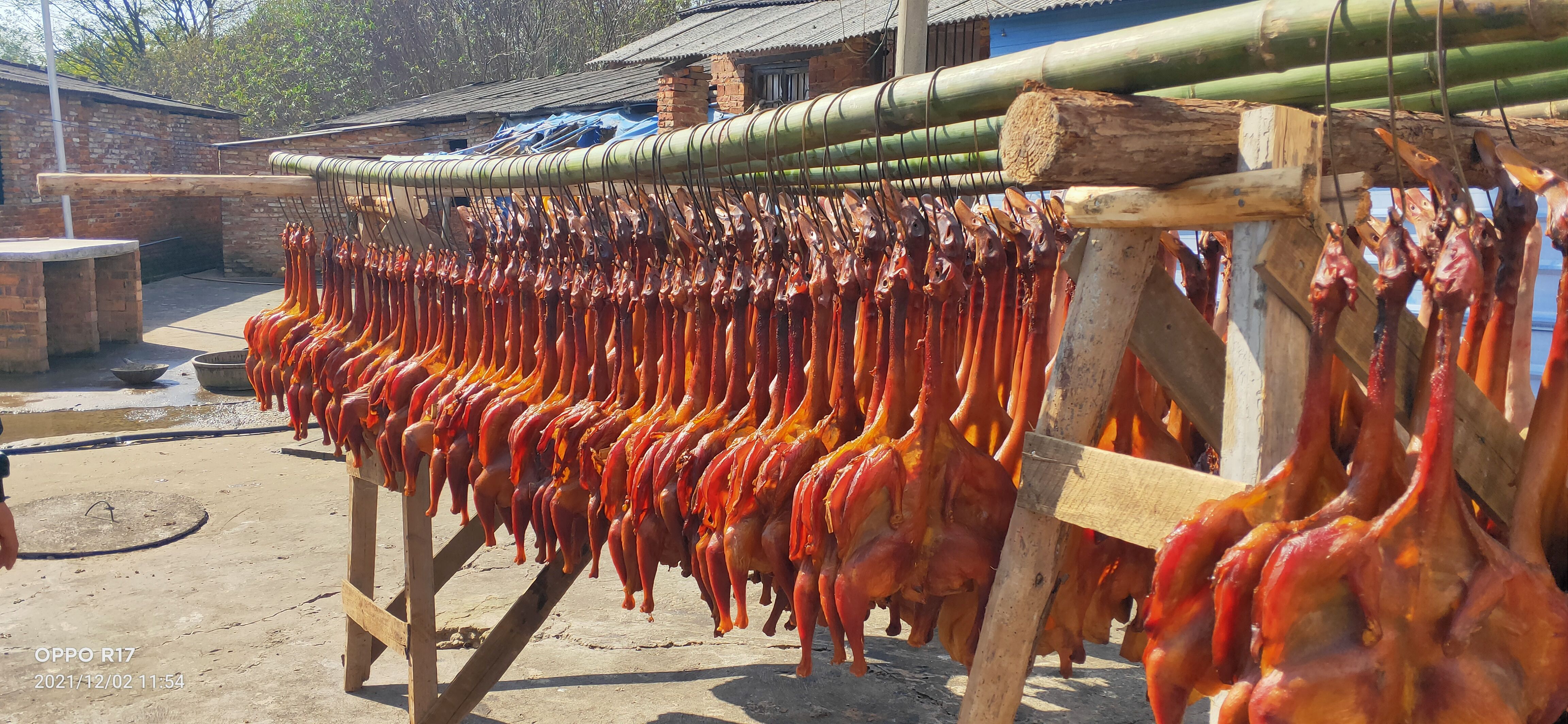 腊板鸭 3-6个月 2021-12-01 - 2022-03