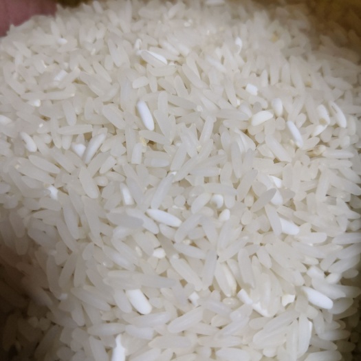 莆田 好吃，无污染，太阳光农家大米，糯米