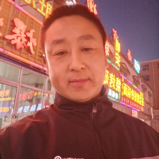 乌前旗干草 饲草