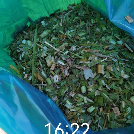 武宣县 有哪位老板需要甘蔗尾青贮草料的欢迎联系