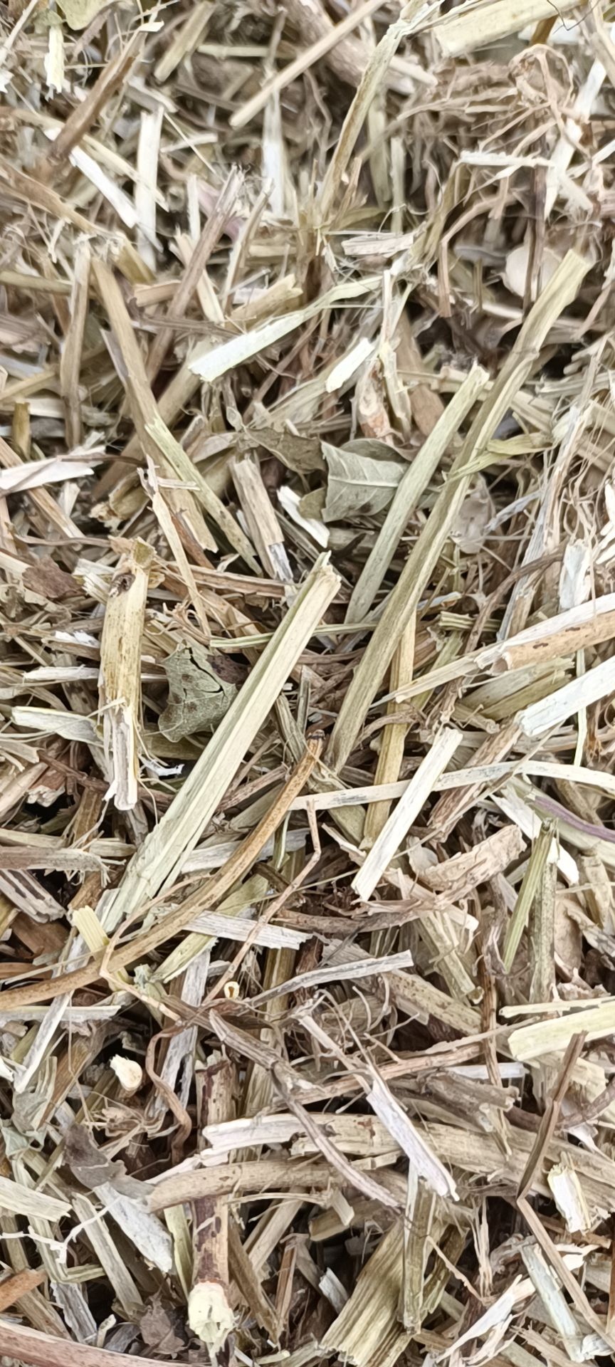 花生秧 长年供牛，羊，马，兔，草料