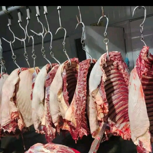 宁津县 鲜马肉鲜驴肉，纯干货，无注水