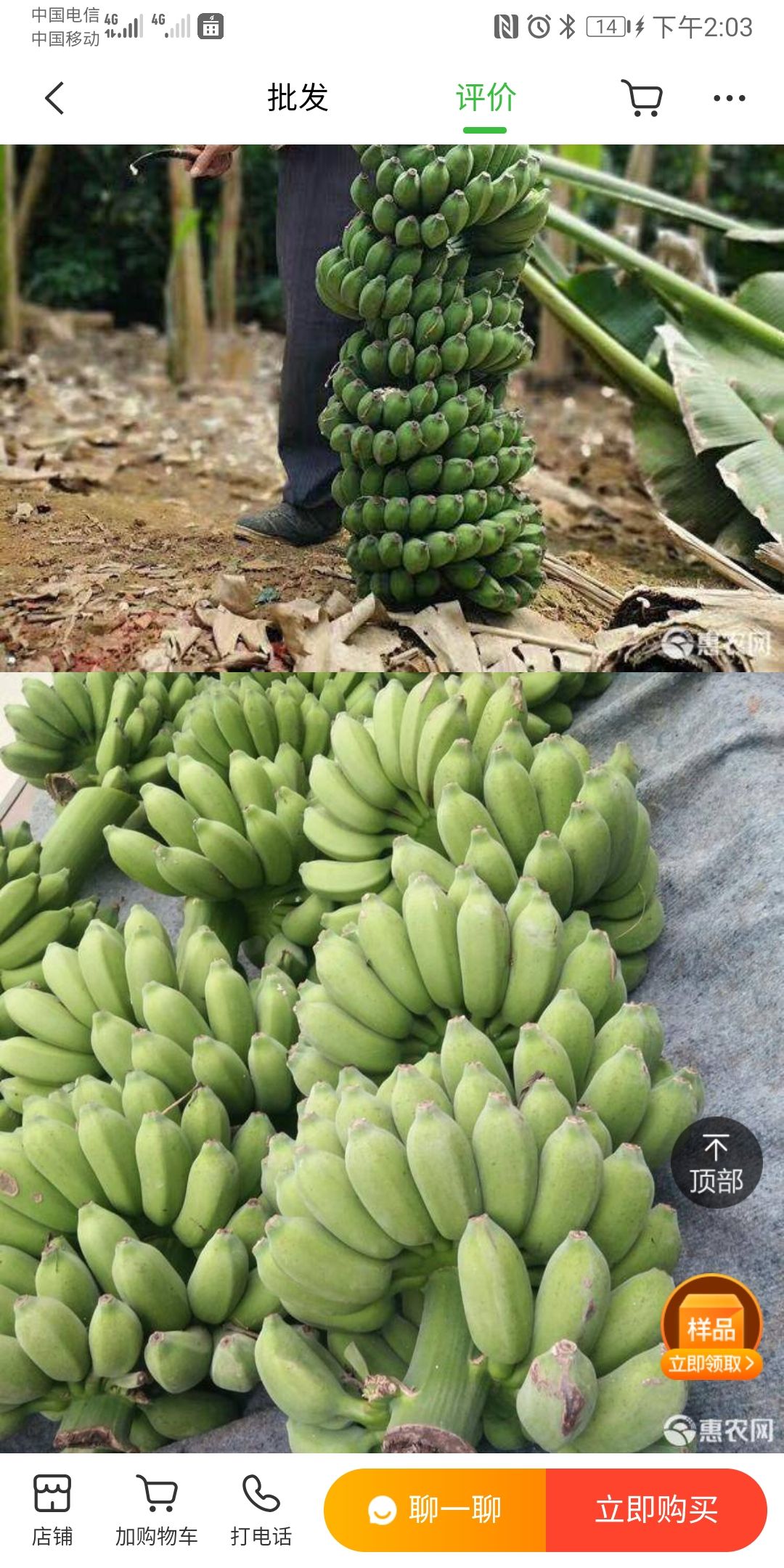 小米焦苗 小米蕉苗，广西小米蕉苗，产地直销，价格实惠。