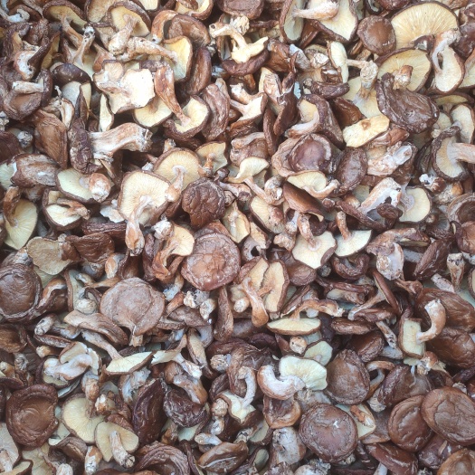 花菇  香信农家干货散装干香信冬菇新货