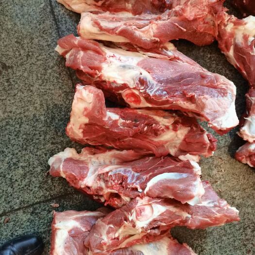 猪骨头 母猪带肉杂骨40%左右