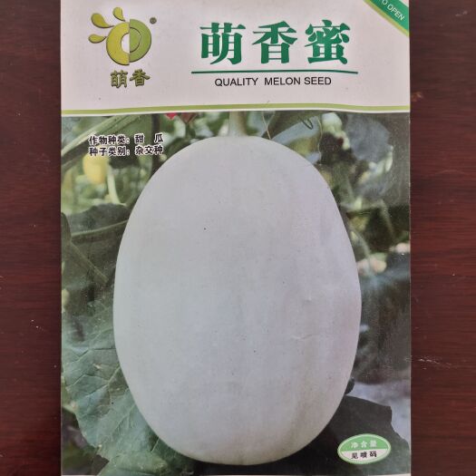 寿光市玉妃甜瓜种子白皮绿肉水果肉厚羊角蜜圆形庭院春季口感佳糖度细