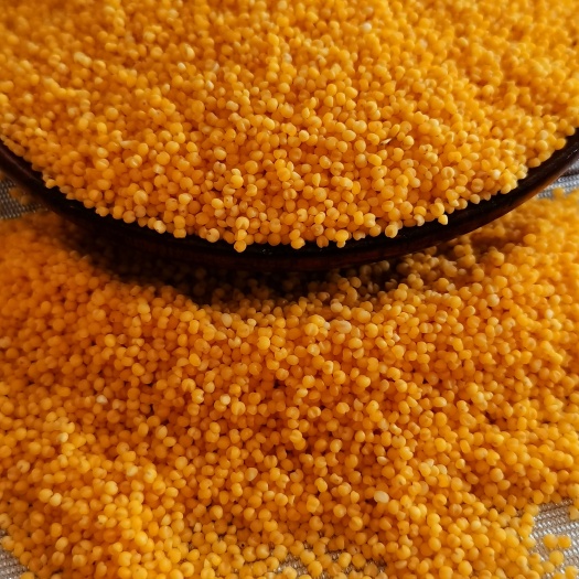 黄小米  小米蒙古小米，金黄色 熬粥粘 香 出米油5斤起