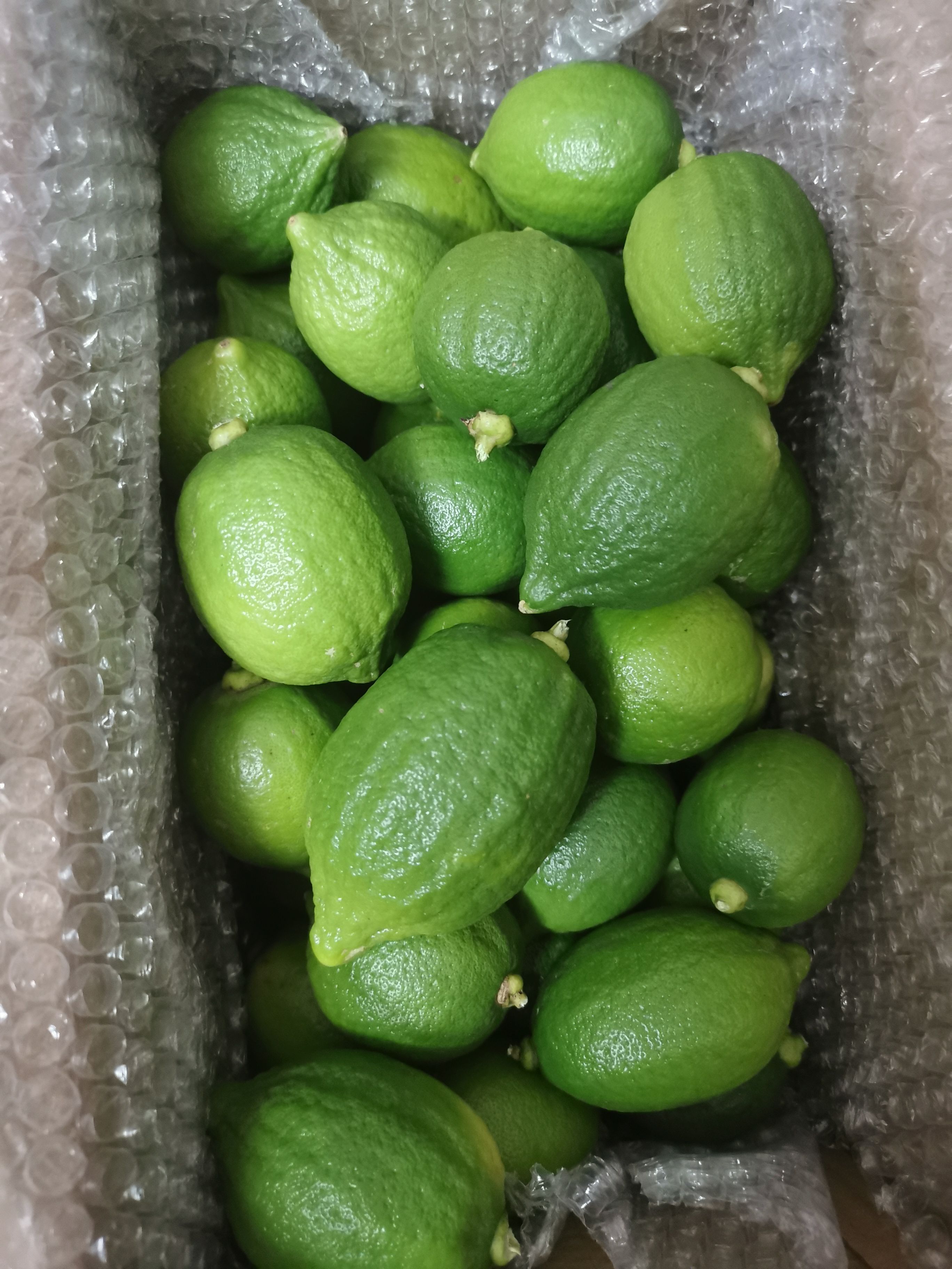 广东无籽香水柠檬果园直发汁多味浓，精选一级果 奶茶店专用