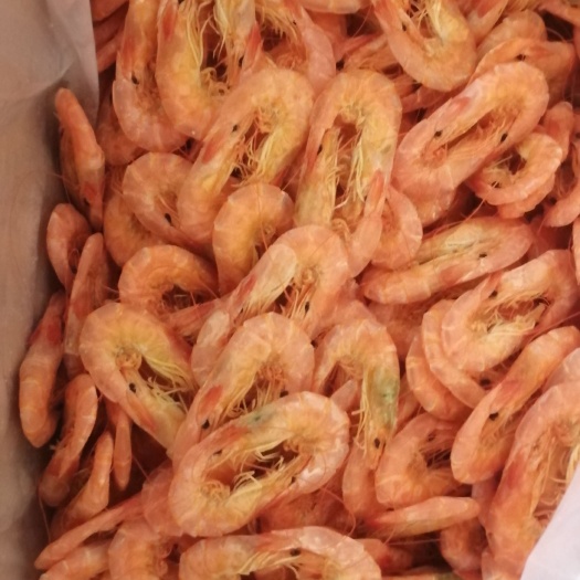 滨州皮皮虾 鲁北渤海湾一手货源，海产品干货