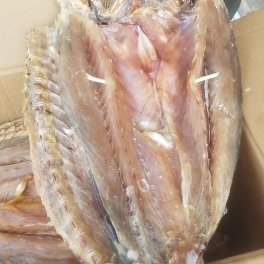 湛江马友鱼干