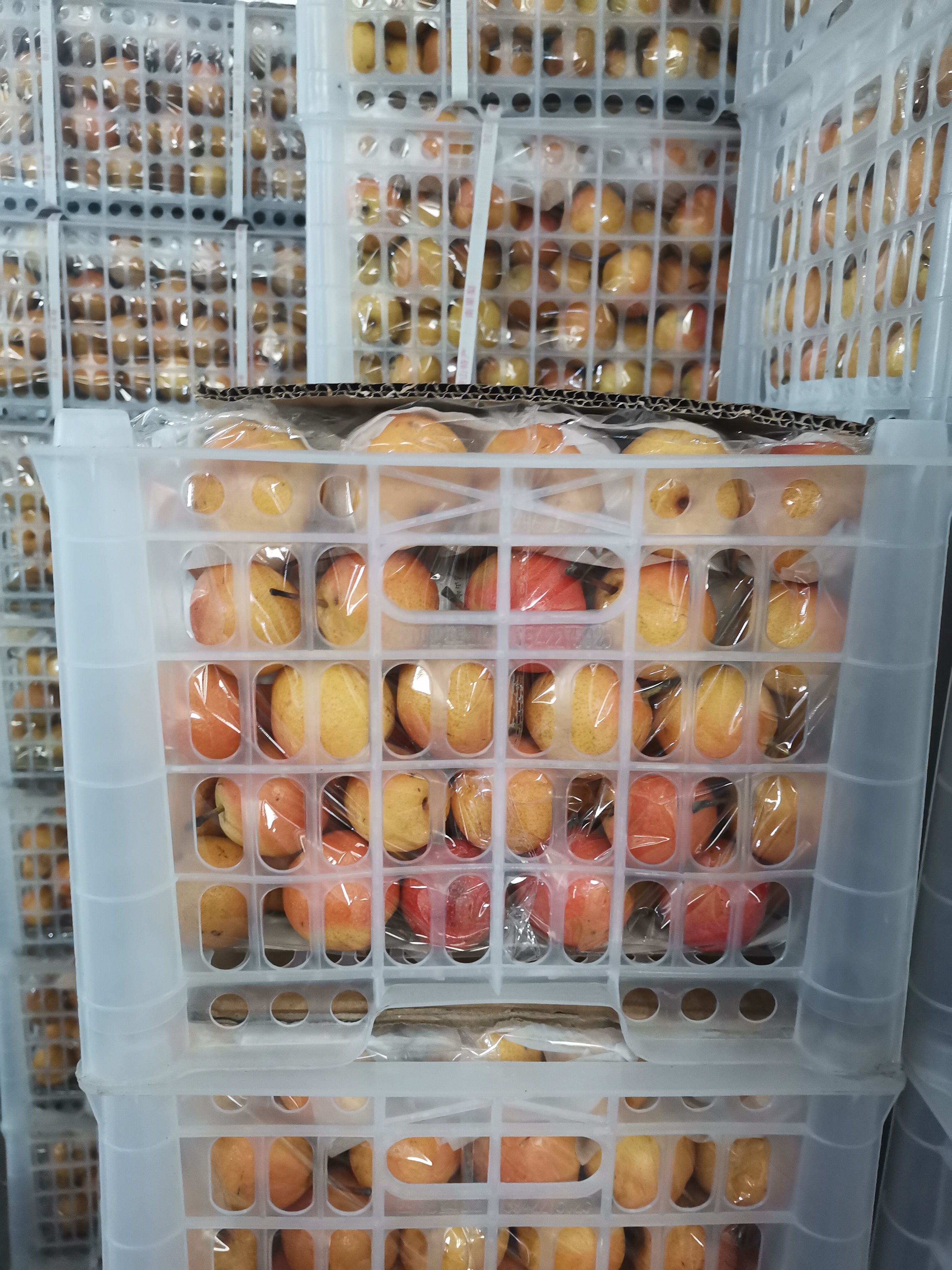 鞍山特产精品筐装南果梨