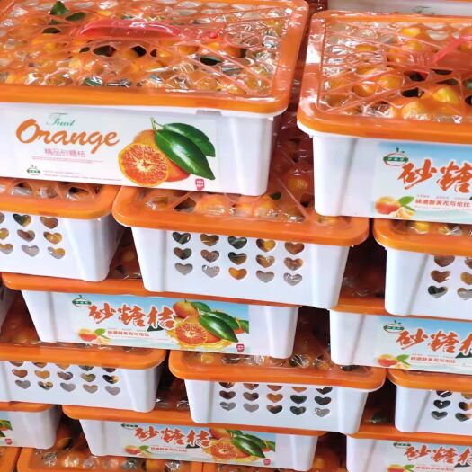 南宁 沙糖桔
