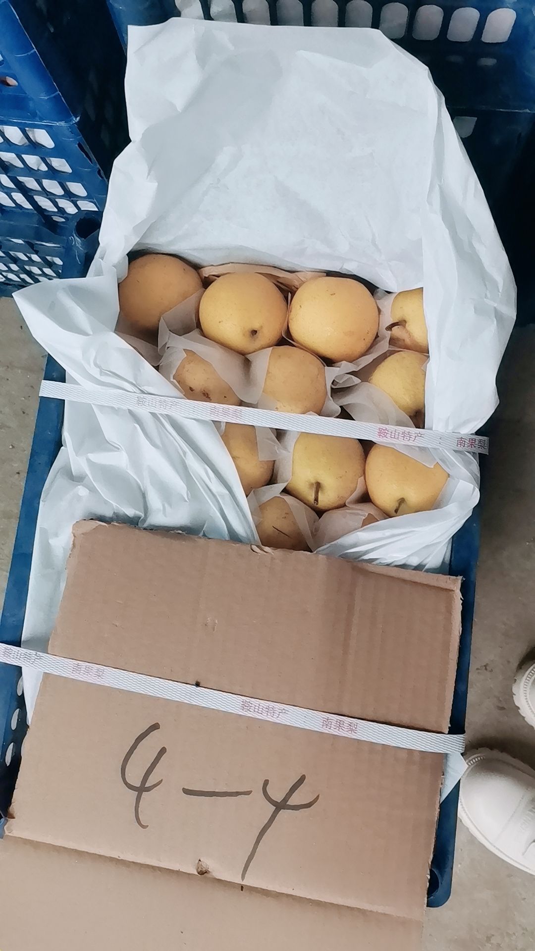  鞍山特产精品筐装南果梨