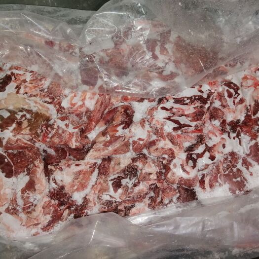 定州市羊肉类  全羊板肉