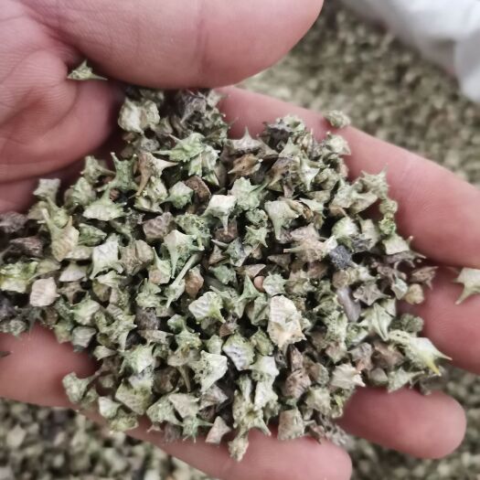 刺蒺藜白蒺藜无硫中药材药用