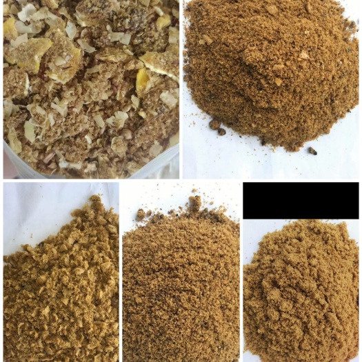 正定县浓缩料 益生菌发酵饲料